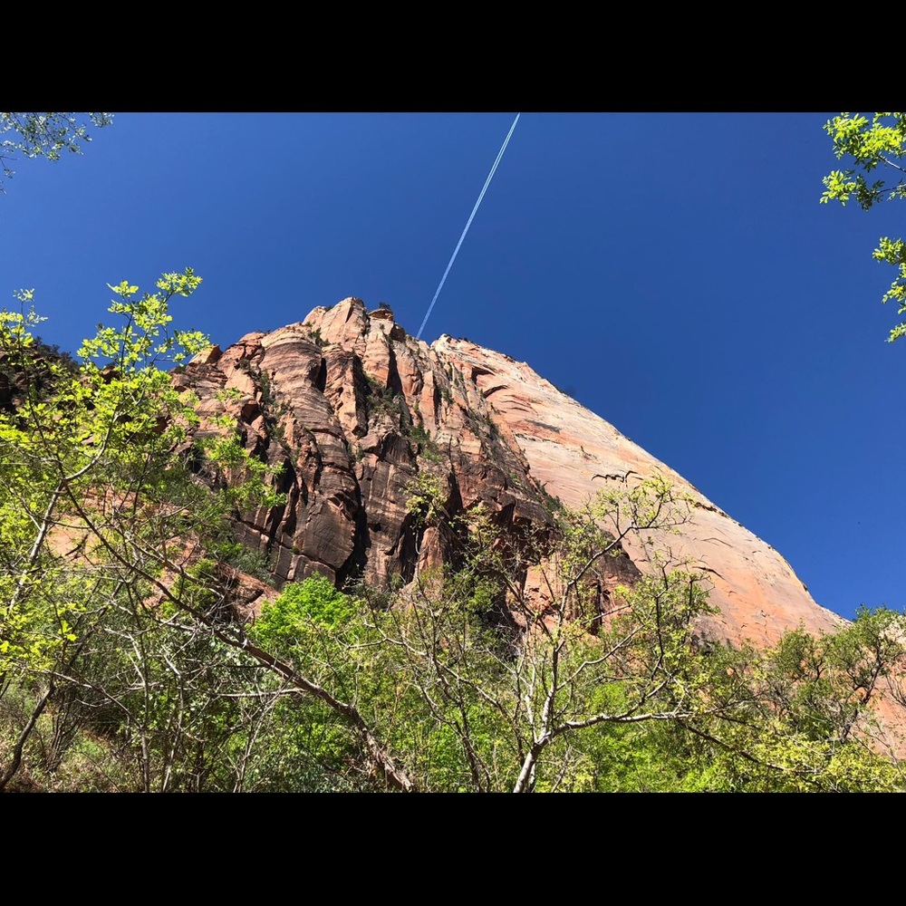 Meet your Posher, Patricia